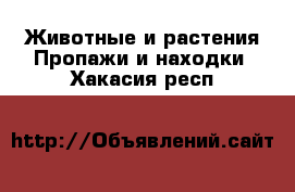 Животные и растения Пропажи и находки. Хакасия респ.